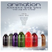애니메이션 칼라 트리트먼트300ml 임박컬러, 스톤그레이24년8월