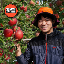 고당도 감홍 홍로 흠집 못난이 제철 사과 햇부사 5kg 10kg, 10kg 대 (25-28과내외)