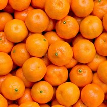 금귤 제주감귤농장 고당도 하우스감귤 밀감 달콤한 귤 5kg, 하우스 감귤 2kg 꼬마(2S 미만)