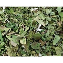 황칠나무 혼합(잎+나무)300g)A/삼계탕 첨가 인기품/인삼보다 더많은 사포닌함류 인삼나무인 황칠나무, 황칠나무(잎)200g