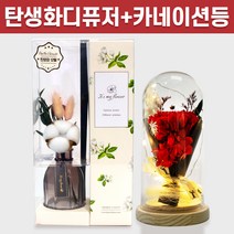 탄생화 디퓨저 선물 세트 12월 탄생화 목화 + 카네이션 무드등 선생님 부모님 어버이날 엄마 장모님 생신선물 프리저브드 플라워 생화 실내 디퓨저 실내 방향제 디퓨져, 라임바질, 레드, 500ML