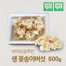 바이오글루칸 국내산 무농약 생꽃송이버섯 500g 주문당일 수확, 1개
