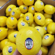 썬키스트 팬시 레몬 2kg 3kg 5kg 10kg 개당 120g 내외, 1개