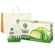 롯데헬스원 통짜발효 양배추 즙 + 쇼핑백, 2700ml, 5개