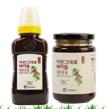 MDF5842 신선농산 안성엄마손 대추조청(병) 300g, 1개