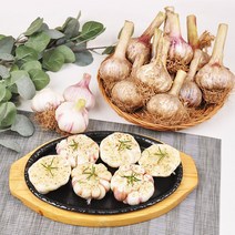 [푸르젠] 충남 서산 난지형 마늘 (짱아찌용), 1개, 5kg(특대)
