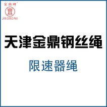 와이어 엘리베이터 전용 MM 천진 금정패 마심 예인함 속도 제한이다 2635003150, 6mm, 다크그레이