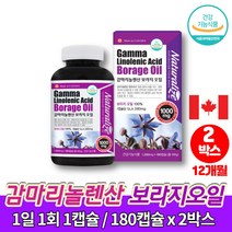 캐나다 식물성 보라지유 감마리놀렌산 불포화지방산 지엘에이 240 보라지 보리지 오일 종자유 꽃 50대 여성 선물 영양제, 2박스