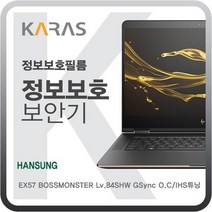 한성 EX57 보스몬스터 Lv84SH GSync OCIHS튜닝용 블랙에디션 정보보안필름, 해당상품