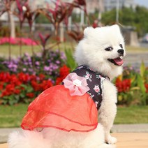 강아지 드레스 원피스 봄과 여름 애완 동물 귀여운 스커트 고양이 공주 한복 의류 사랑스러운 개, [05] A5