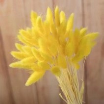 토끼 꼬리 말린 꽃 솜털 팜파스 잔디 소박한 웨딩 장식 홈 30 개, 08 yellow_02 100pcs