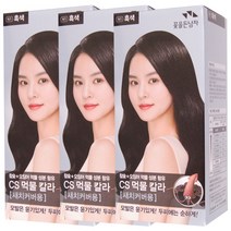 꽃을든남자 오징어 먹물 염색약 흑색 N1, 3개