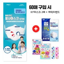 하이가드 대박이네 KF80 (대형/화이트) 60매