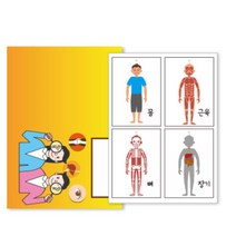 어린이집 우리몸 관찰책 학습 활동지 카드 만들기 5인 인지능력 초등1학년 미술수업 놀이