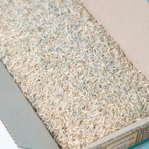 오늘의바다 국산 햇 새우 섞인 지리멸치 (당해 생산), 1.5kg(원물박스)