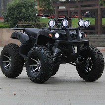 4륜오토바이 전동 사발이 전기 농업용 레저 3륜 사륜 파므럭 ATV 동력운반차, 150cc 2인승 카트 블랙