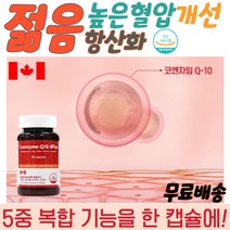 피를맑게하는음식 항산화 활력 활성산소제거 심뇌 혈관 청소 질환 증상 혈관에 혈압에 좋은 혈액순환 혈압낮추는음식 혈압낮추는방법 높은혈압감소 혈관에좋은영양제 혈압에좋은영양제 COQ10 혈압