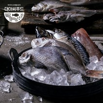여수 국내산 반건조 생선 골라담기 말린 우럭 서대 박대 민어 참돔 병어 제수용 모듬, 반건조 갑오징어 중