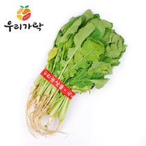 우리가락 [우리가락]열무 1단, 1