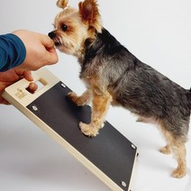 마리펫 댕댕페디 강아지 셀프 발톱 갈이 깎기 사포 훈련 놀이 도마, 소형_기본형(340X238mm)리뉴얼, 1개