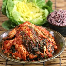 셰프애찬 고소한 맛이 일품 국내산 봄동 겉절이 김치, 1kg/캔
