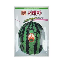 아시아종묘 서태자 30립