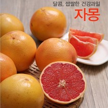 [생과일쥬스] 탱글탱글 남아공 자몽 대용량 3.4kg 6.8kg, 22과이내(6.8kg내외)