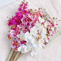금호아트 고급 조화매혹적인 미니 호접난 2줄기 가지 6color 75cm, 진핑크