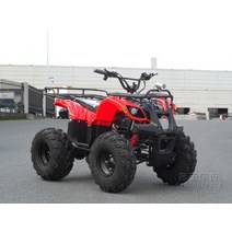 마카롱 ATV 4륜 오토바이 사발이 다목적 운반차 농업용 차동 500w-1000w 모터 전기 소형 황소 ATV 배터리 자동차, 패키지 1 48V20A500W