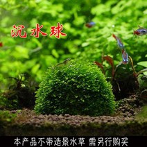 Qian Rui 싱킹 워터 볼 크리스마스 트리 일시 중단 이끼 실크 장식용 새우 하우스 수생 식물을 피하기 위해 수조 조경 장식 패키지, Meiyi Qianrui 가라앉는 수구