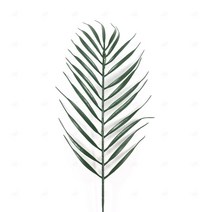 야자수잎 조화 초록빛 눈편안 촬영 식물가지 동남아 휴양지 제주도 카페 바나나잎 몬스테라 앤틱 디퓨저스틱 인테리어소품 열대장식 코코넛팜트리 부쉬 나뭇잎 공간여유 생기 소철잎
