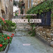 시즌한정 보태니컬시리즈 꽃시장 30ml 봄꽃향 플로럴 해이센트멀티퍼퓸, 비자나무