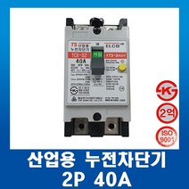 태성전기 산업용 누전차단기 TCE52-2P 40A ELCB, 1개