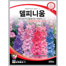 델피니움 씨앗 200립 꽃씨