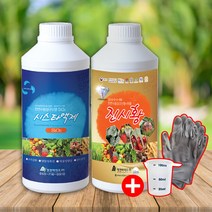 명전바이오 시스타액제 진시황 유기농 식물영양제, 시스타액제 500ml, 500ml