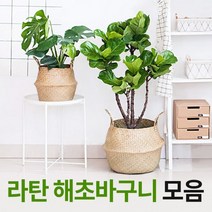 내추럴 라탄바구니 해초바구니 왕골화분바구니, 라탄바구니-B