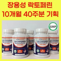 장용성 락토페린 고순도 장용코팅 식약처 권장량 유산균 초유단백질, 2+3통  10개월 구성(선착순이벤트)