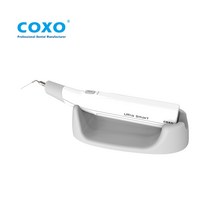 오토글레이브 COXO 울트라 스마트 엔도 루트 캐널 스크러버 초음파 액티베이터 트리트먼트 클리닝 오토 클레이