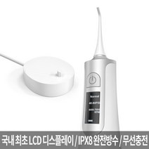 로엘 구강세정기 덴티픽2 IPX8 완전방수 무선충전 대용량 물통 배터리 맥동수압 치아세정기, 단일옵션