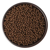 노니환 400g 1kg 노니추출분말 500g 1kg 노니, 없음, 노니추출분말 1kg