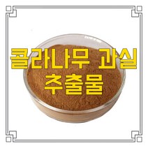 소율국제 콜라 나무 콜라 열매 콜라넛 고농축 추출물 분말, 30:1, 200g, 1개