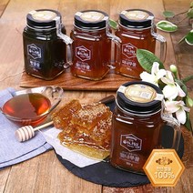 강원 백프로 천연 이색 꽃 꿀 4종 택1(피나무 밤 아카시아), 3. 피나무꿀 500g
