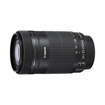 Canon 망원 줌렌즈 EF-S55-250mm