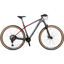 [사바코리아] 캠프 팀 TEAM9.2 카본 MTB자전거 XT24단 29인치 100% 완조립, 그레이 레드, 15.5