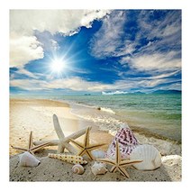 올레보 캔버스형 보석십자수 DIY 키트 30 x 30 cm, 1세트, 05.해변의 불가사리