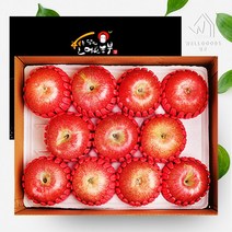 웰굿 [웰굿]경북 정성담은 명품 사과선물세트 2.5kg(11과내), 1
