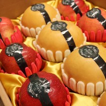 사과 배 혼합 과일 선물세트 제수용 과일 청송사과 나주 배, 사과5+배4 혼합세트