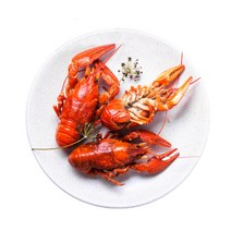 꿀꿀도매 캐나다 반자숙 랍스터 1마리(450g), 1개