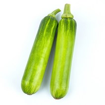 국내산 싱싱하고 맛있는 애호박, 12개