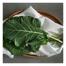 국내산 유기농 케일 즙용 2kg